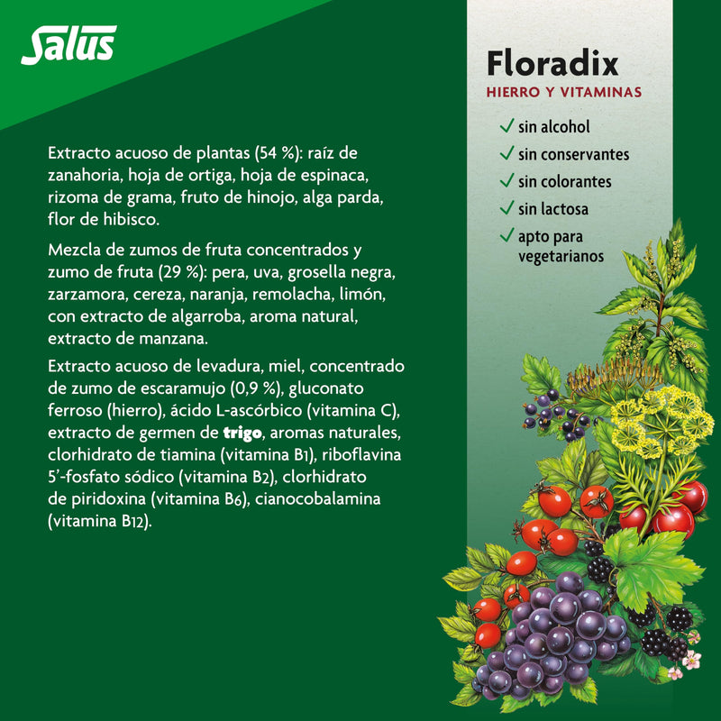 Floradix Liquid Iron and Vitamin Formula 250ml | Helps reduce tiredness and fatigue, with iron and vitamins 8.5 Fl Oz (Pack of 1)