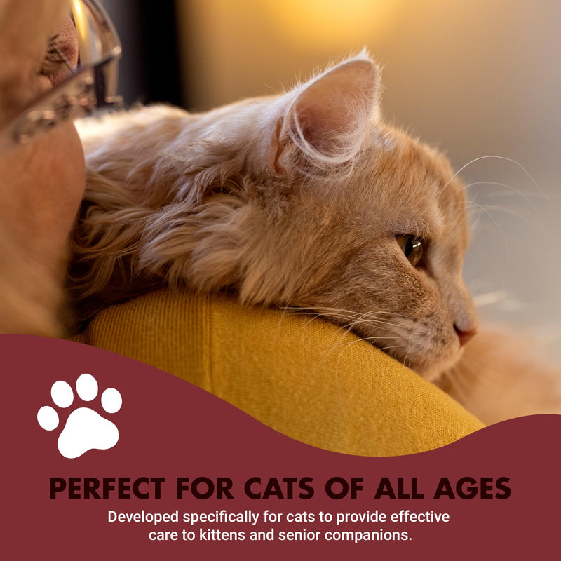 LIQUID-VET Immune Support for Cats – Daily Formula with Inulin, Beta-Glucan, Vitamin E, Omega-3s, Fermented Yeast & More! - Made for Picky Eaters Seafood 8 Fluid ounce