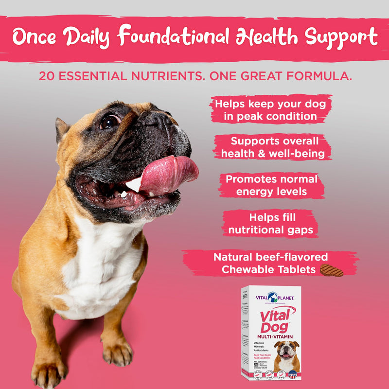 Vital Planet - Vital Dog Multi Vitamin Chewable Tablet Supplement for Everyday Health with Vitamins, Minerals and Antioxidants for Dogs - 30 Beef Flavored Chewable Tablets - PawsPlanet Australia