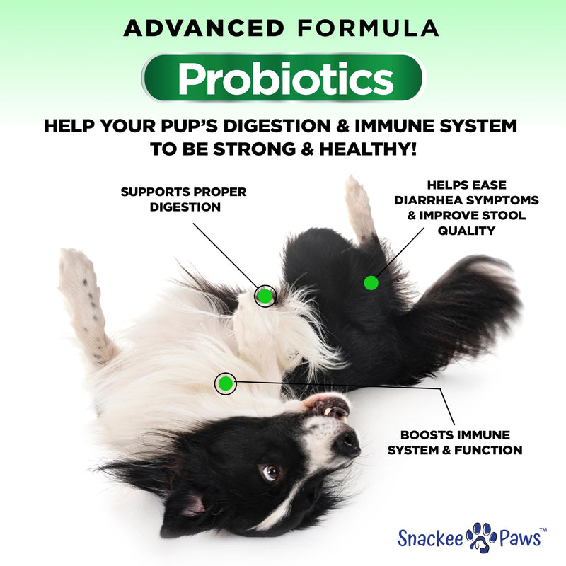 Probiotics for Dogs and Digestive Enzymes - Approx 160 Dog Probiotics Chews - Dog Probiotic - Anti Diarrhea, Upset Stomach & Gas Relief, Canine Prebiotic - Pet Fiber Supplement - Chicken Flavor
