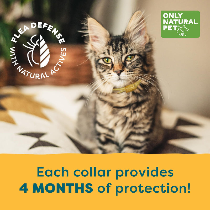 Only Natural Pet EasyDefense Flea & Tick Cat Collar - Feline Flea Collars Biting Insect Control - Pet Care That Protects up to 4 Months - for Cats (Single) Single - BeesActive Australia