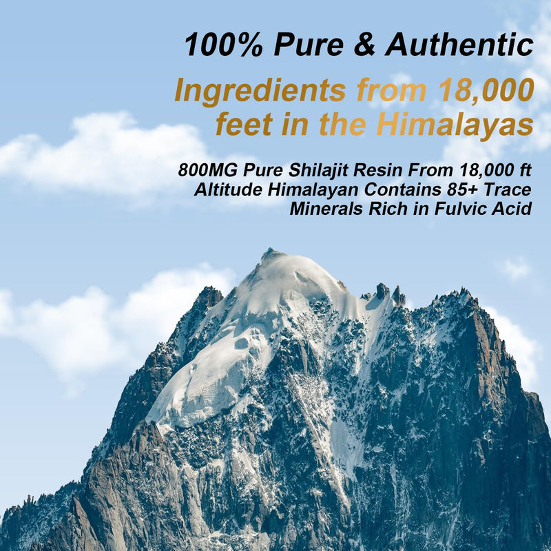 Shilajit Pure Himalayan Organic Resin - 800mg Maximum Potency Natural Organic Shilajit Resin with 85+ Trace Minerals & Fulvic Acid for Energy, Immune Support, Men & Women, 30 Grams Black - BeesActive Australia