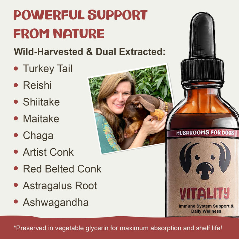 MycoDog Vitality - 20-in-1 Turkey Tail Mushroom for Dogs - Mushroom & Adaptogen Supplement for Senior Dogs - Supporting Immune Health & Daily Wellness - with Reishi, Chaga