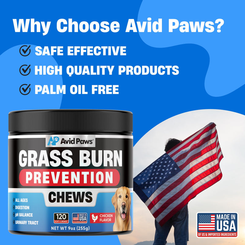 Dog Urine Neutralizer for Lawn - Green Grass Chews to Help Prevent Lawn Burn - Dog Pee Neutralizer & Grass Saver - Urinary & Bladder Support for All Breeds + Ages