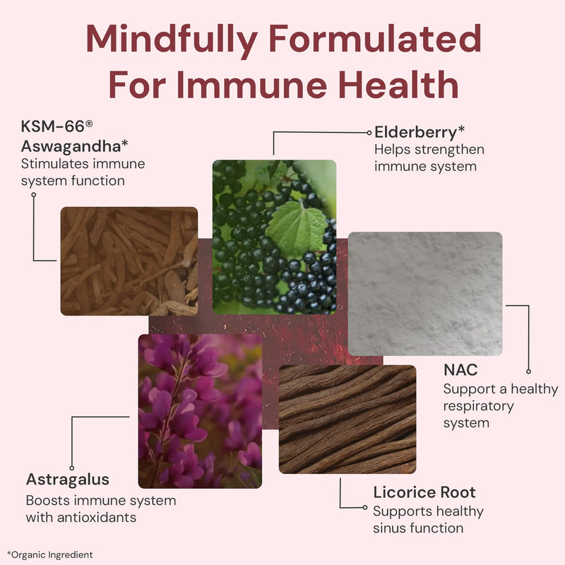 ION* Intelligence of Nature Vital Immunity Drink Mix, Elderberry 20 Packets | Immune Support with Vitamin C & Adaptogen Mushrooms, Daily Wellness Packet Supplement, Travel Friendly 0.16 Ounce (Pack of 20)