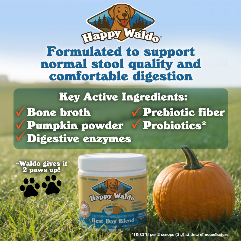 Bone Broth Dog Food Topper – Firm Stool Support, Digestion & Gut Health, Picky Eater Friendly with Pumpkin, Probiotics & Digestive Enzymes