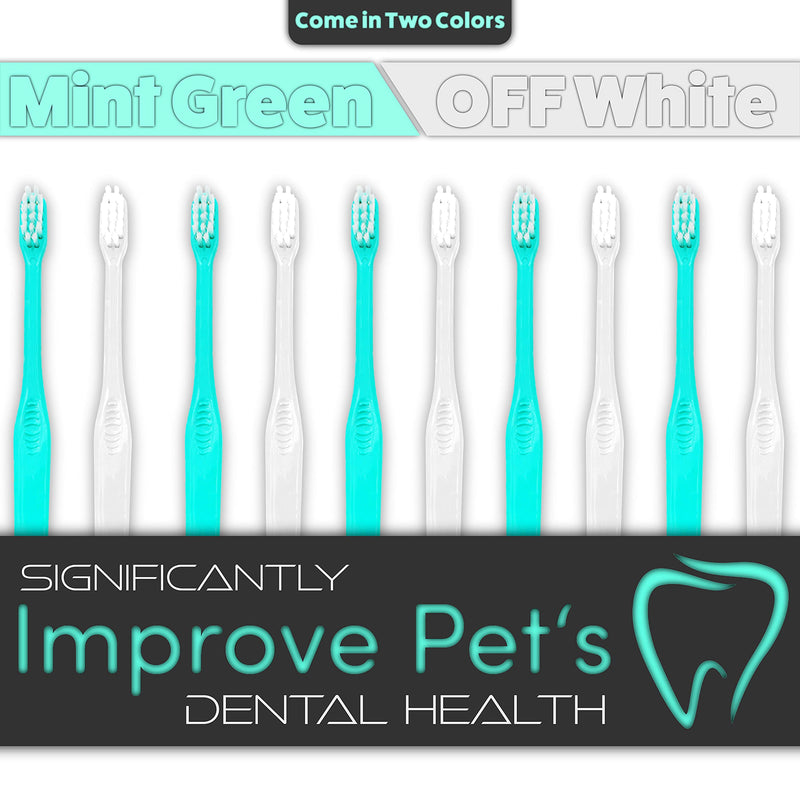 H&H Pets Toothbrush for Small Dogs & Cats - Soft and Small Toothbrush Designed for Cats, Puppies, and Small Breed Dogs Like Teacups, Chihuahuas, Yorkshire, and Poodle, 8 Count Pack 8 Count (Pack of 1) - PawsPlanet Australia