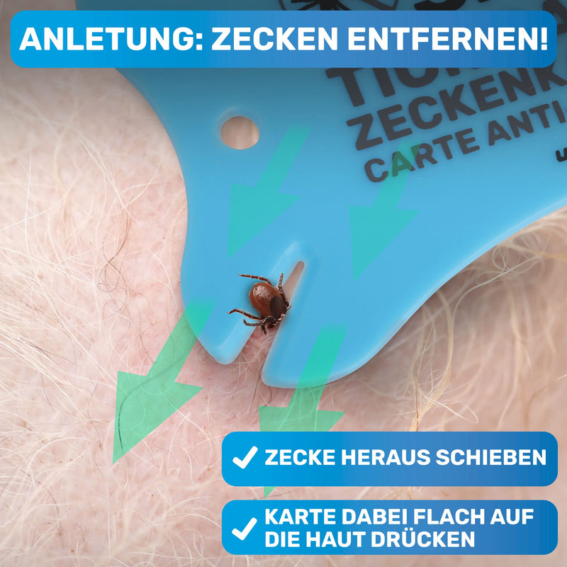 BluePet tick card with magnifying glass in credit card format - tick remover for removing ticks and nymphia from humans and animals - Tick card as first aid for dogs and cats in the house 1x tick card - BeesActive Australia
