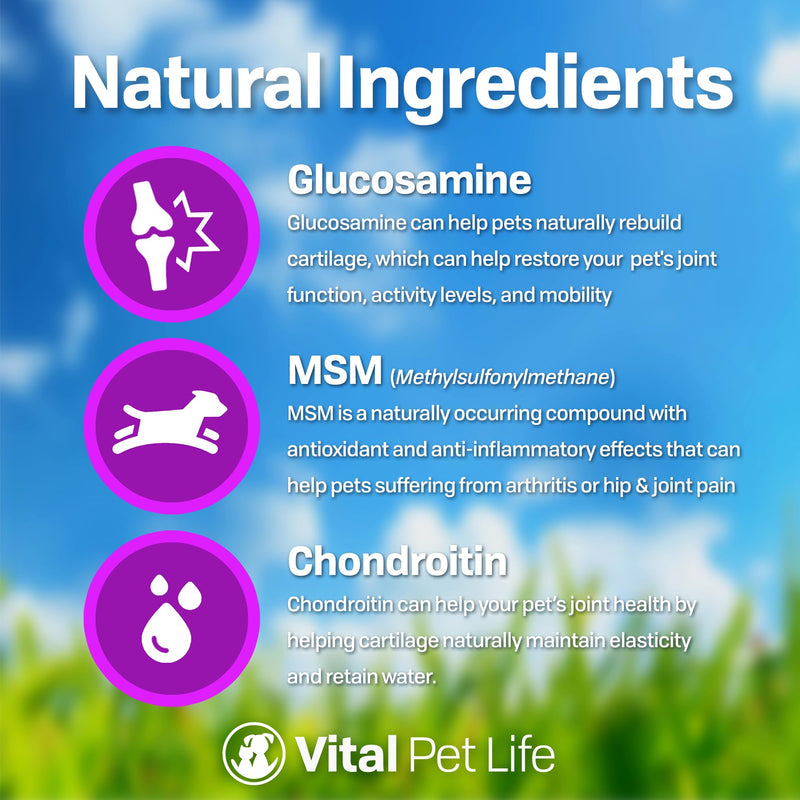 Liquid Glucosamine for Dogs Cats & Horses with Chondroitin, MSM, and Hyaluronic Acid, Hip & Joint Supplement for Mobility & Comfort, Supports Joint Health & Flexibility, Mobility, & Protection, 32 oz - BeesActive Australia