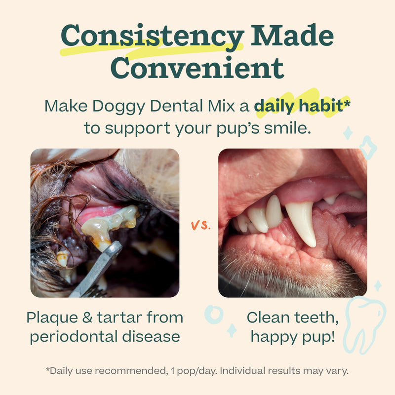 Woof Doggy Dental Pupsicle Mix - Dog Teeth Cleaning Powder for the Pupsicle - Long Lasting Postbiotic Dental Enzyme Mix to Support Oral Health for Dogs Dental Mix