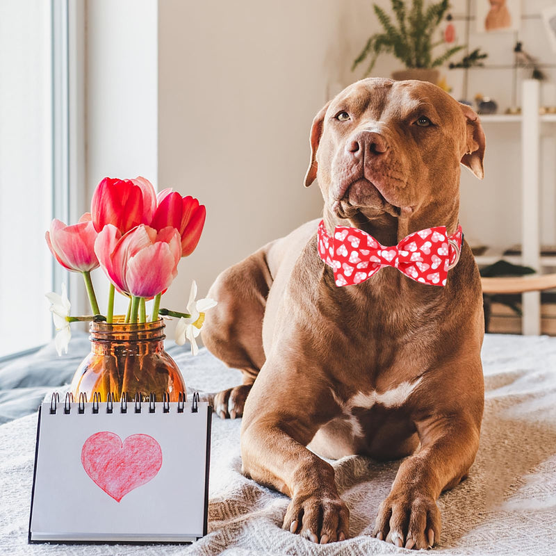 ARING PET Valentine's Day Dog Collar-Cotton Heart Dog Collar with Bow, Adjustable Valentine Bowtie Dog Collars Pet Necklace with Metal Buckle for Girl&Boy Dogs Medium (Pack of 1) A:Valentine - BeesActive Australia
