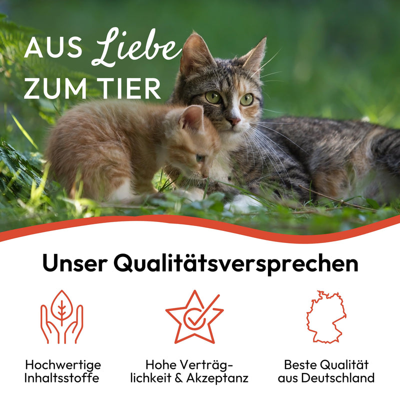 PHA Spot On drops for cats to ward off fleas, ticks and other pests, plant-based biocide, 2 plastic tubes of 1.5 ml each - BeesActive Australia