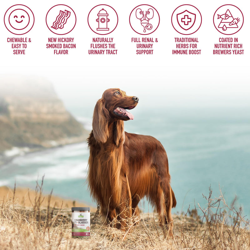 Strawfield Pets Cranberry Bladder & UTI Chews for Dogs D-Mannose + Vitamin C for Urinary Tract Support Bacon Flavored Soft Chews 120 softchews Hickory Bacon