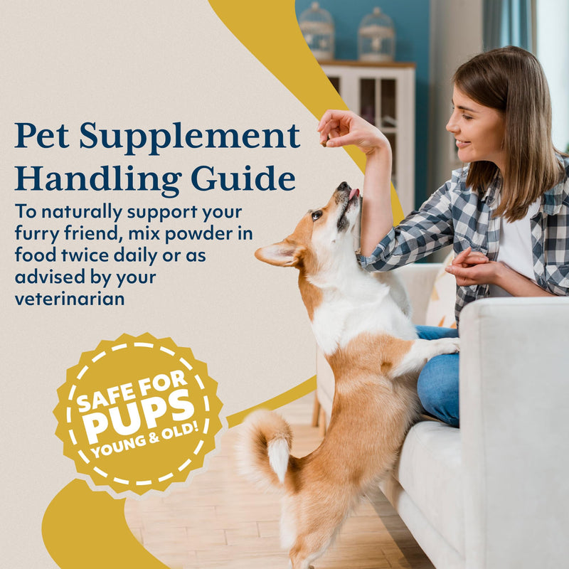 Ayush Herbs Ayush Pet CoCurcumin with Coq10, Muscle and Joint Pet Superfood Powder, Heart and Digestion Support, Small or Large Animals, Young and Senior Pet Supplement, 5.2 Ounces - PawsPlanet Australia