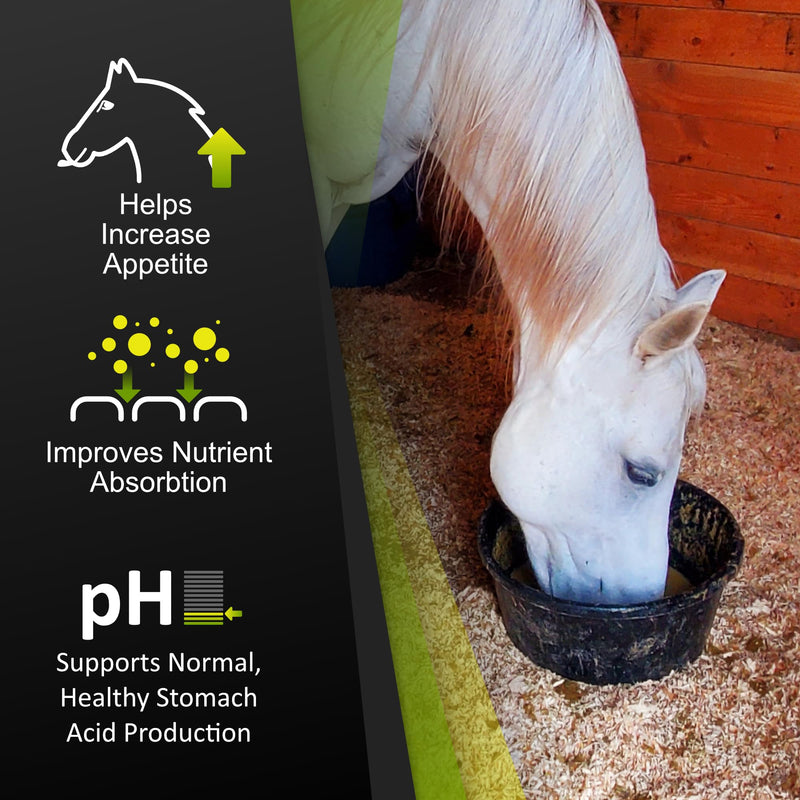 GastroMend® Gastrointestinal Health Supplement for Horses, 100% Natural, Promotes Stomach and Gut Health in Equines, Cost-Effective Digestive Wellness, 60 Servings per Pouch, Made in The USA - BeesActive Australia