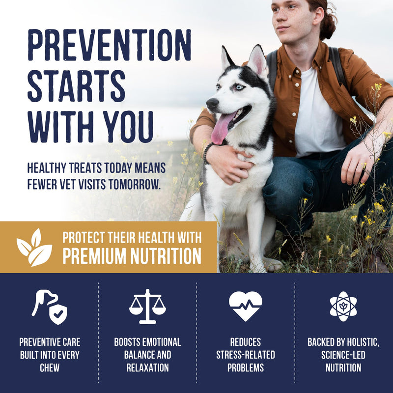 Harley & Marley Cognitive Duo Function Health Chews for Dogs - Brain Support with Carrot, Seaweed, Vitamin B6 & Kale - Supports Cognitive Function, Healthy Teeth & Gums - 4pk (4/pk) Pack of 4