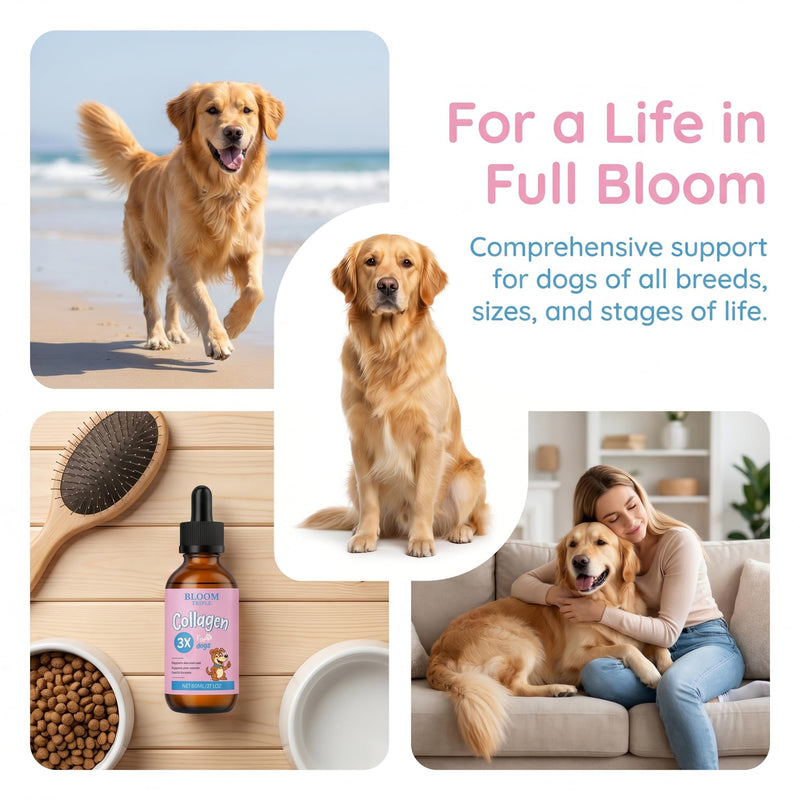Collagen for Dogs, Premium Liquid Collagen for Dogs, Support for Skin & Joints & Gut & Overall Vitality, 60ml/2floz