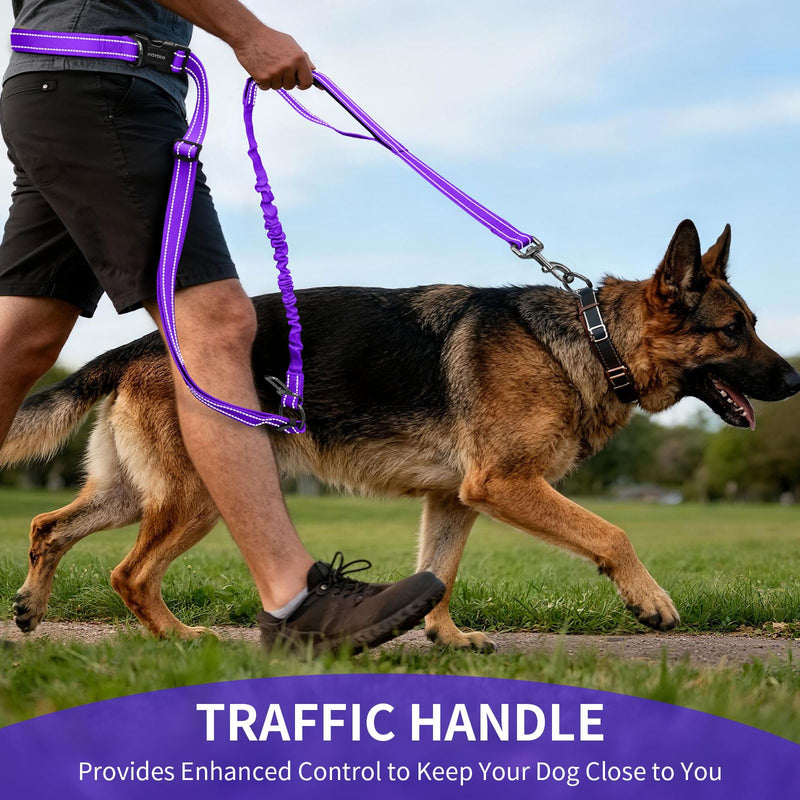 Kazazoo Hands-Free Dog Leash with 6-9FT Adjustable Length - Heavy Duty No Pull Bungee Design, Reflective Safety for Walking, Jogging & Training | Suitable for Medium to Large Dogs Purple L PRUPLE