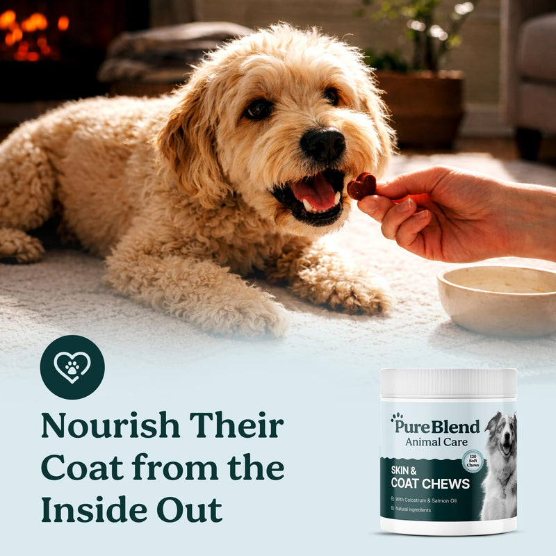 PureBlend Skin & Coat Soft Chews for Dogs — With Colostrum, Salmon Oil, Probiotics & Brewer's Yeast — Dog Coat Supplement — 120 Chews, Up to 4 Month Supply
