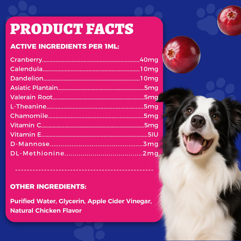 4oz Wellix Natural Cat & Dog UTI Treatment Drops,Cat & Dog Urinary Tract Infection Treatment - Cranberry & D-Mannose for Dogs & Cats - Kidney Health Supplement - BeesActive Australia