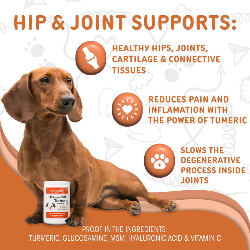 waggedy Hip and Joint Turmeric – Complete Dog Supplements for Joints with Glucosamine, MSM, HA & Omega Fatty Acids — Daily Glucosamine for Dogs to Improve Flexibility & Mobility (120 Dog Chews) Turmeric Hip & Joint 120 Count