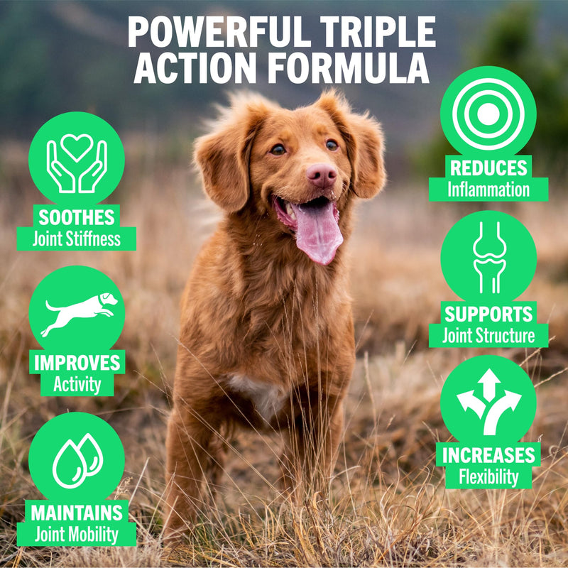 JOINTSURE YOUNG & ACTIVE Dog Joint Supplements for Dogs and Puppies - Pack of 120 Tablets - Supports Mobility and Prevents Joint Stiffness - High Glucosamine for Dogs. Dog Supplements
