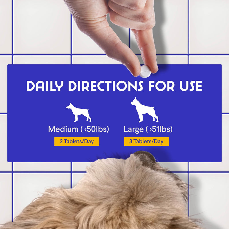WONDER PAWS Vitamin B12 Tablets Plus Omega Max Fish Oil - for Dog's Skin Health, Respiratory and Cell Health & Immune Support – B12 90 Chewable Tablets - Omega Max 16 Ounces