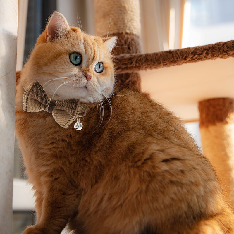 Breakaway Cat Collars - Bow Tie Cute Cat Collar with Bells for Girl Boy Cats, Puppy - Plaid Soft Adjustable Pet Collars Cat Accessories neck 7.8"-10.5" beige&brown - BeesActive Australia