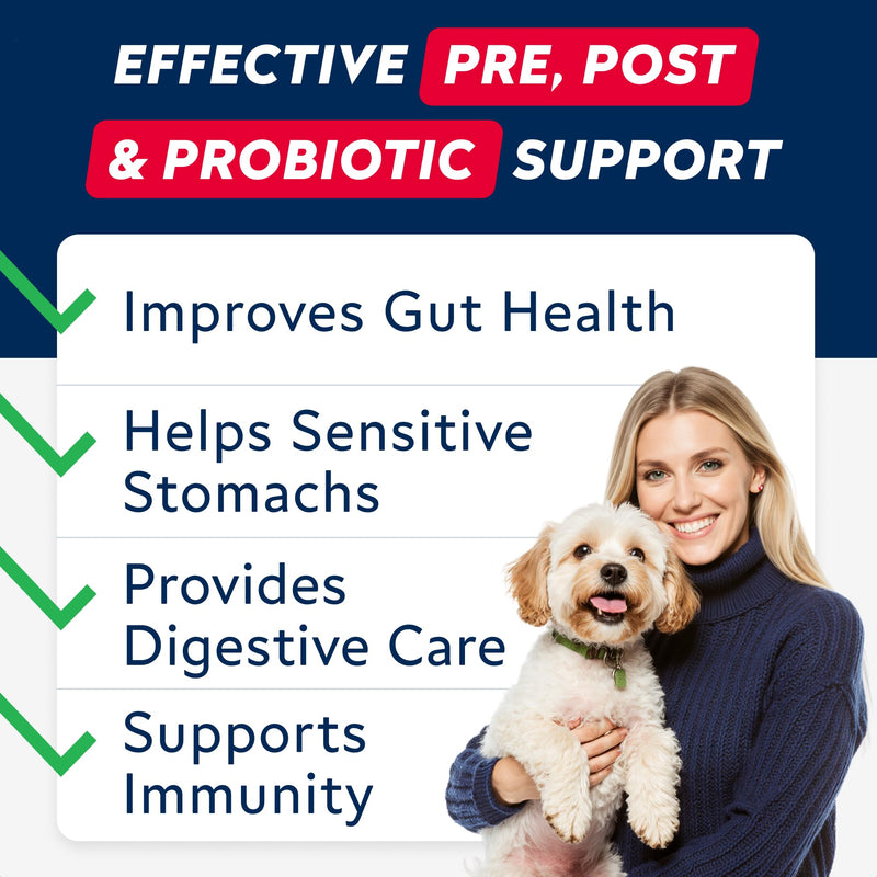 Advanced Probiotics for Dogs Gut Health with Fibre - Pre, Post & Probiotic Treats - Dogs Digestive Health Sensitive Tums Support - All Breeds & Ages - Dog Probiotics for Gut Health (180 Ct) Pork 180Ct Probiotic Chews