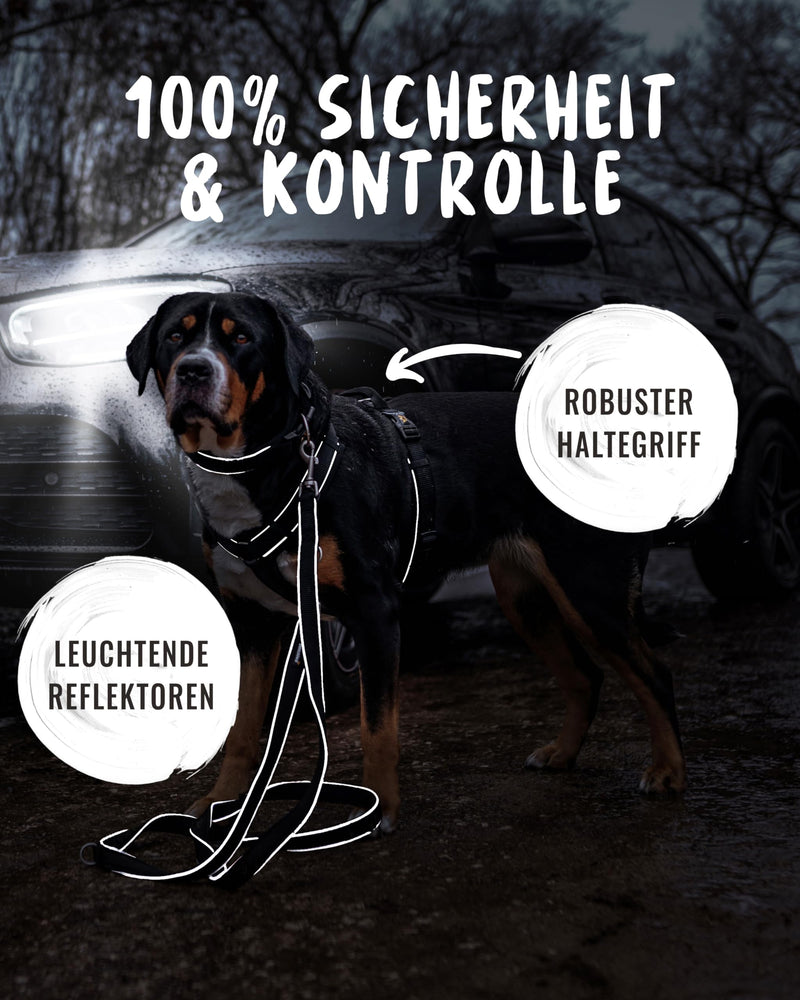 Rudelkönig Paola Dog Harness - Reflective Chest Harness with Handle - Medium Dog Harness in Y Design - Adjustable Dog Harness for Medium-sized Dogs M Black Reflective - BeesActive Australia