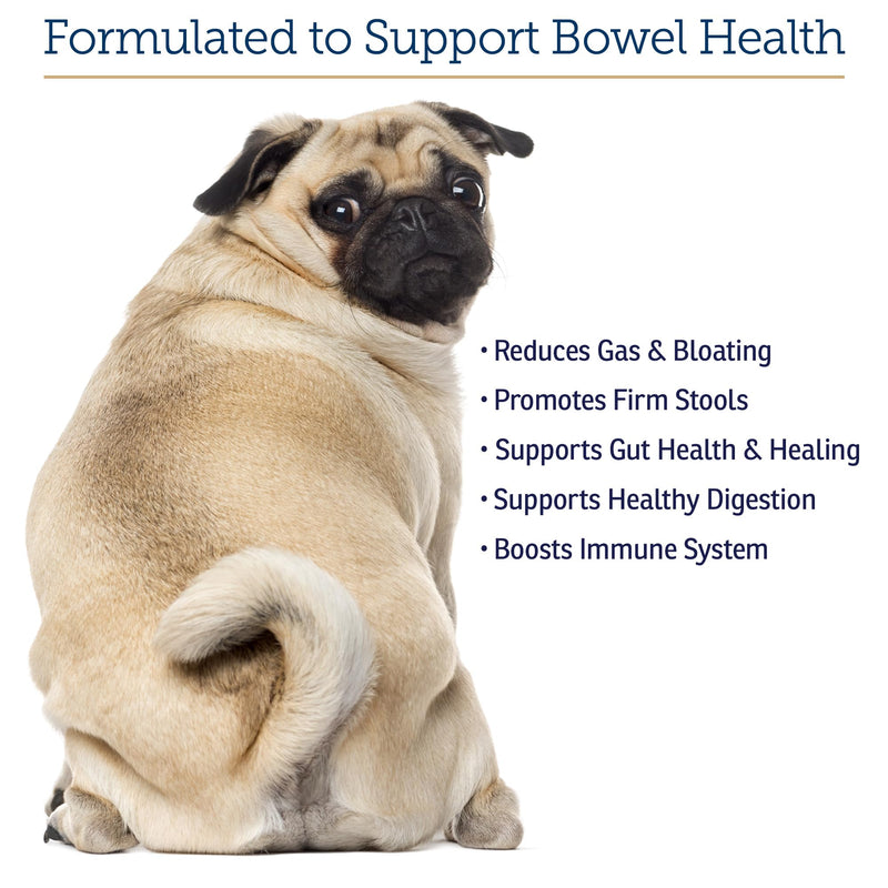 Rx Vitamins NutriGest - Cat & Dog Probiotics for Digestive Health - 4.65oz | Cat & Dog Probiotic Powder to Promote Optimal Gut Flora - Helps Manage Gastrointestinal Discomforts New Label