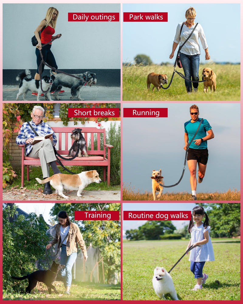 Double Dog Leash - Two Dog Leash No Tangle Design, 3-in-1 Adjustable Waist Belt for Two Dogs, Detachable Dual Leashes, Suitable for Dogs for Training, Running and Walking. Black - BeesActive Australia