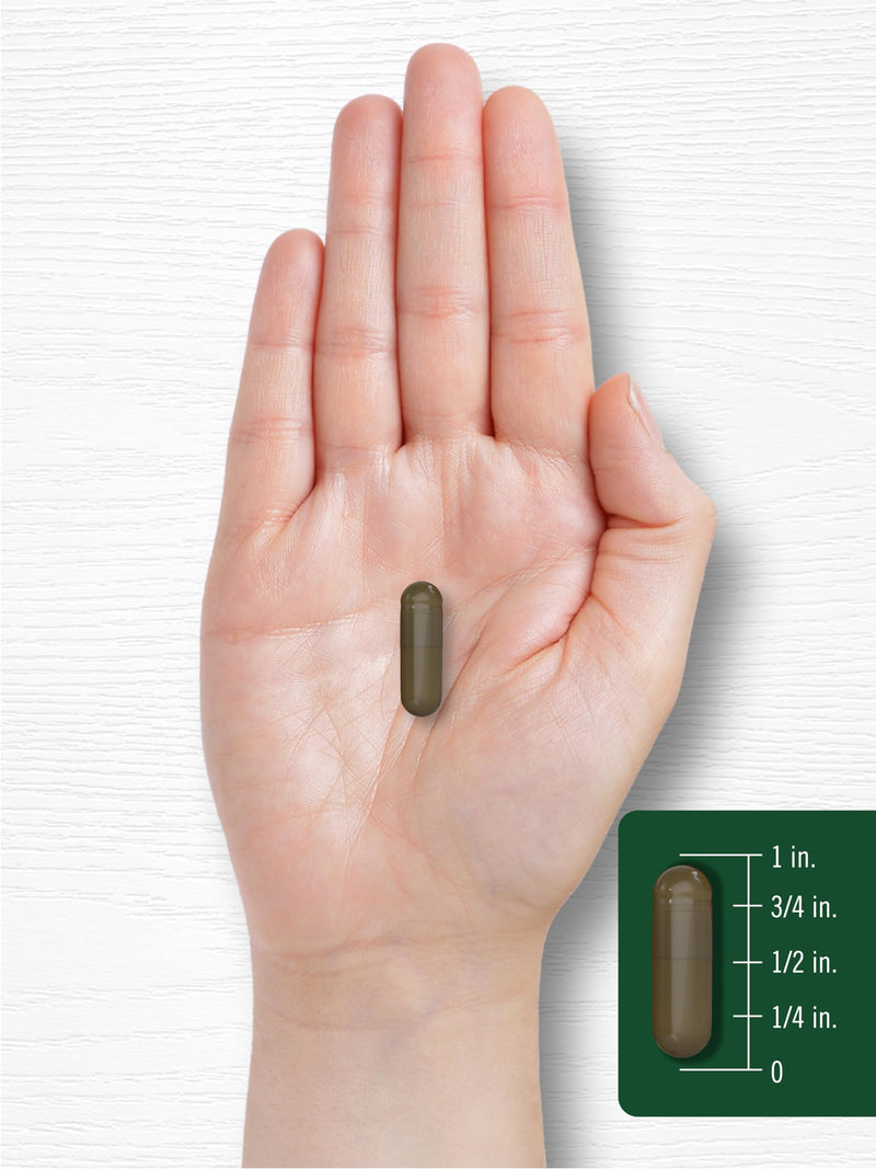 Carlyle Triphala Capsules | 1500mg | 180 Count Supplement | Non-GMO and Gluten Free - BeesActive Australia