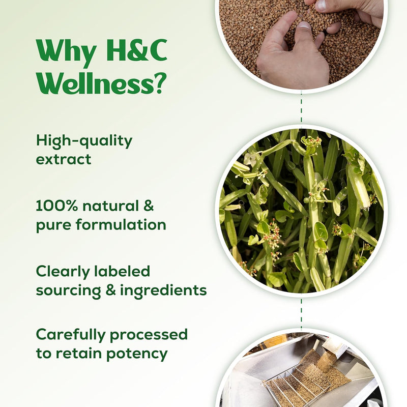 H&C Cissus/Hadjod Tablets (Cissus quadrangularis) - 350 mg, 90 Counts | Herbal Supplement for Bone Health 350mg Tablets - BeesActive Australia