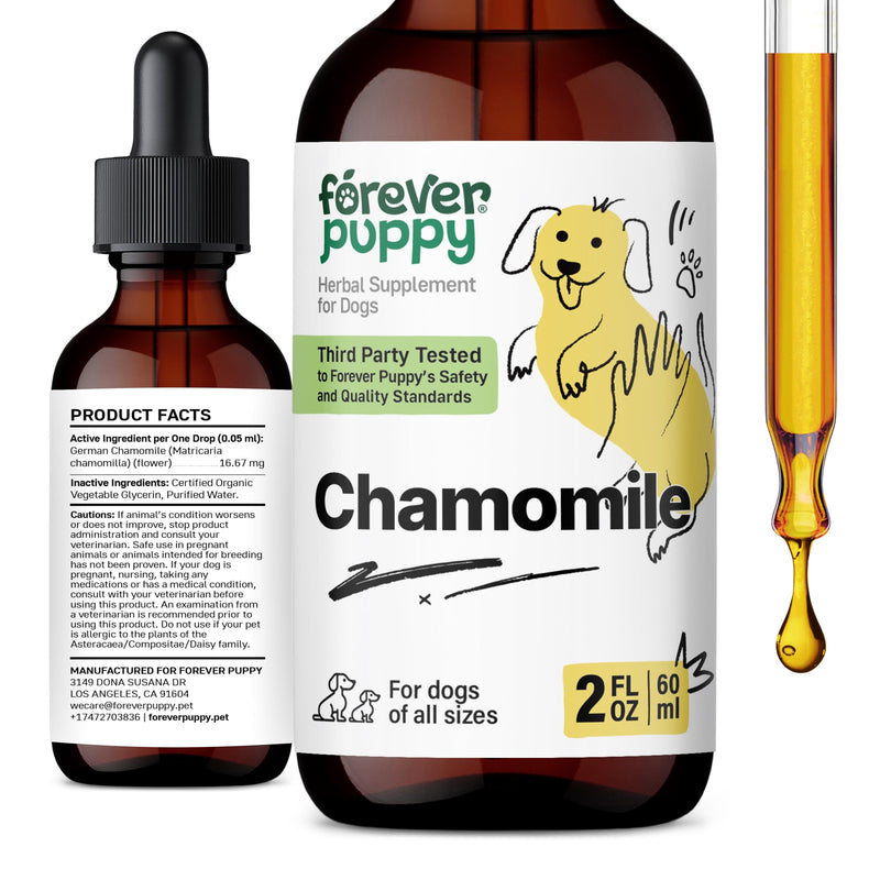 Forever Puppy Chamomile Drops for Dogs - Liquid Chamomile Extract for Gas Relief & Gut Cleanse Support - Digestive Health Liquid Supplement for Dogs of All Breeds & Sizes - 2 oz 2 fl oz