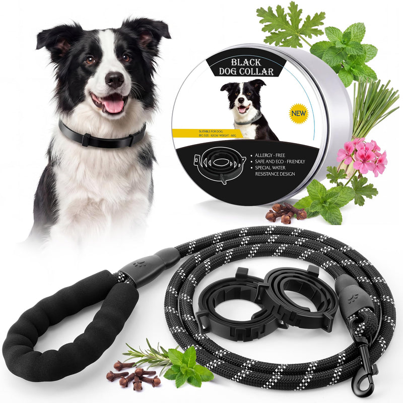 Flea and Tick Collar for Dogs with 5 FT Leash, Essential Oils Collars, Rope Dog Leash with Padded Handle, Adjustable Size Dog Walking Set, Flea and Tick Prevention for Dogs, Puppies