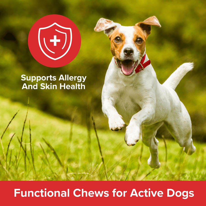 PLATO Pet Treats Air-Dried Wellness Chews for Dogs – Functional Dog Chews – Supports Skin Health & Allergy Relief – Salmon Oil, Colostrum & Quercetin Recipe 16oz 120 Count (Pack of 1)
