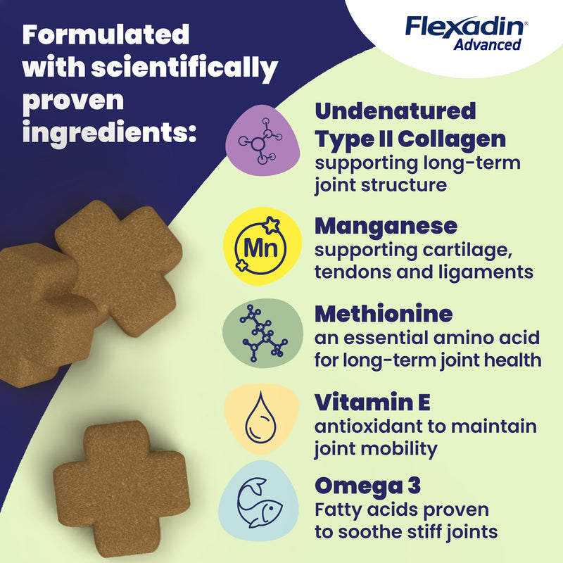 Flexadin Advanced Joint Care Supplement for Cats containing Undenatured Type II Collagen, Manganese, Methionine, Omega 3 & Vitamin E | 30 chews