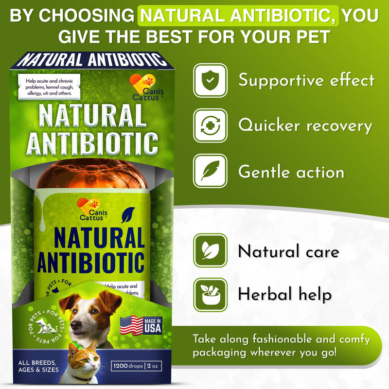 Dog Antibiotics in Drops Work as Cat UTI Treatment, Support Pets with Allergies – Natural Antibiotics for Dogs Care for Digestion and Breathing in All Pet Sizes and Breeds – 2 oz 2 Fl Oz