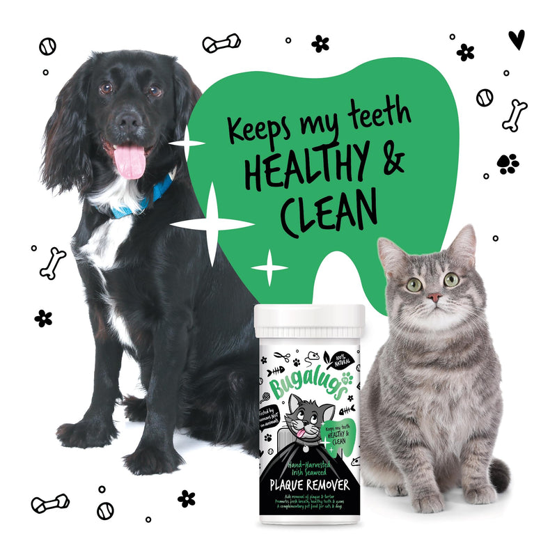 BUGALUGS Plaque Off Remover For Cats 70g Teeth & Bad Breath 100% Natural | Plaque Off Cats No Need For Cat Toothbrush or Cat Toothpaste | Remove Cat Bad Breath & Plaque Remover For Cats