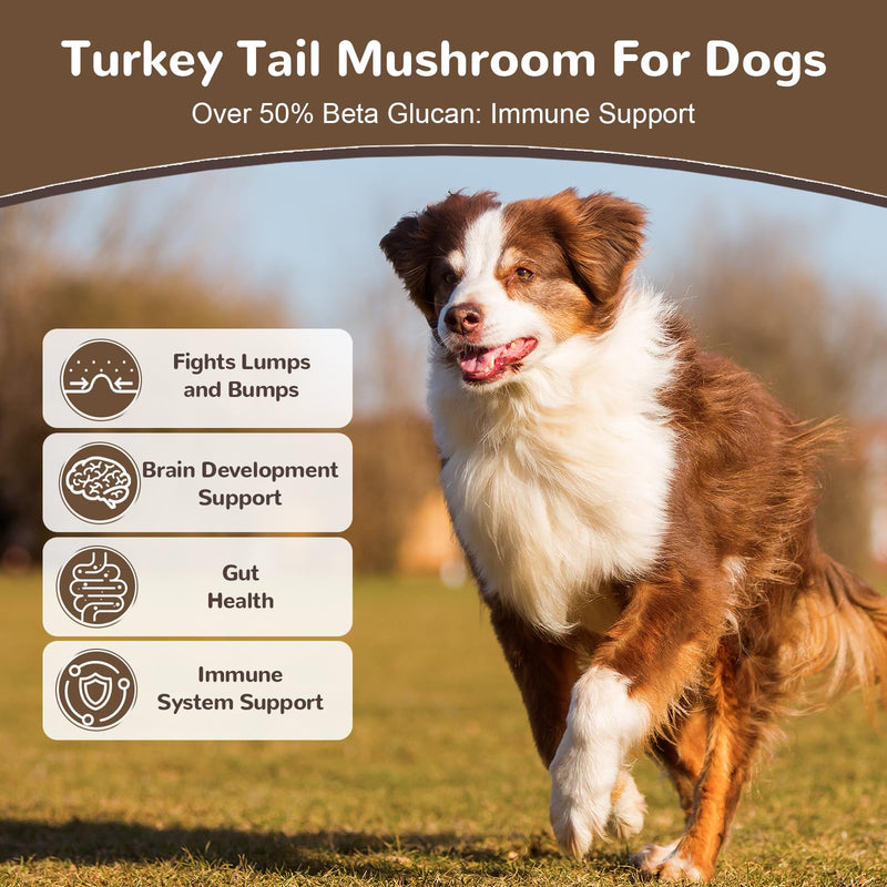 Turkey Tail Mushroom Powder for Dogs, Organic 10 Mushroom Blend for Lipoma Lumps and Bumps, Dog & Cat Herbal Supplements Probiotic with 50% β-Glucan, Joint Gut Immune Skin Support - 60g Chicken
