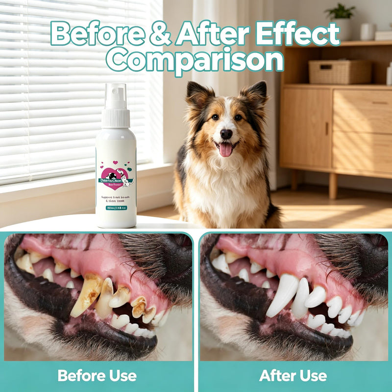 DentaClean Spray for Dogs & Cats, No-Brush Plaque & Tartar Remover, Breath Freshener for Dog Dental Care, Supports Daily Oral Hygiene, Easy Spray for Dogs Cats, 100ml