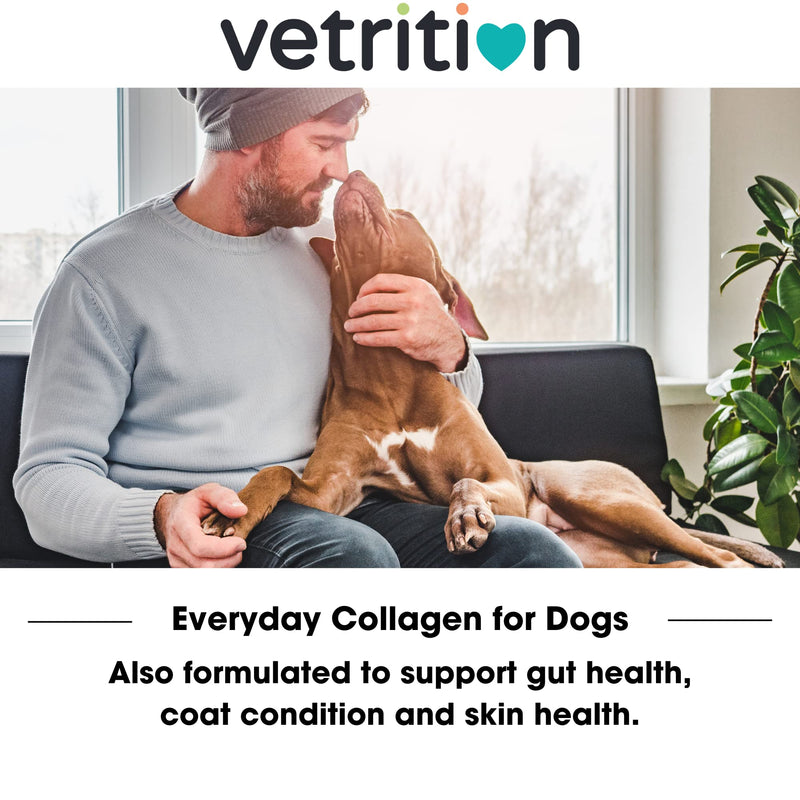 Collagen Powder for Dogs, Vet Approved Hydrolysed Collagen Peptides Supplement for Joints, Skin, Coat, Health, Bioactive Protein Rich Powder for All Ages, Breeds, Sizes Dogs, 150g