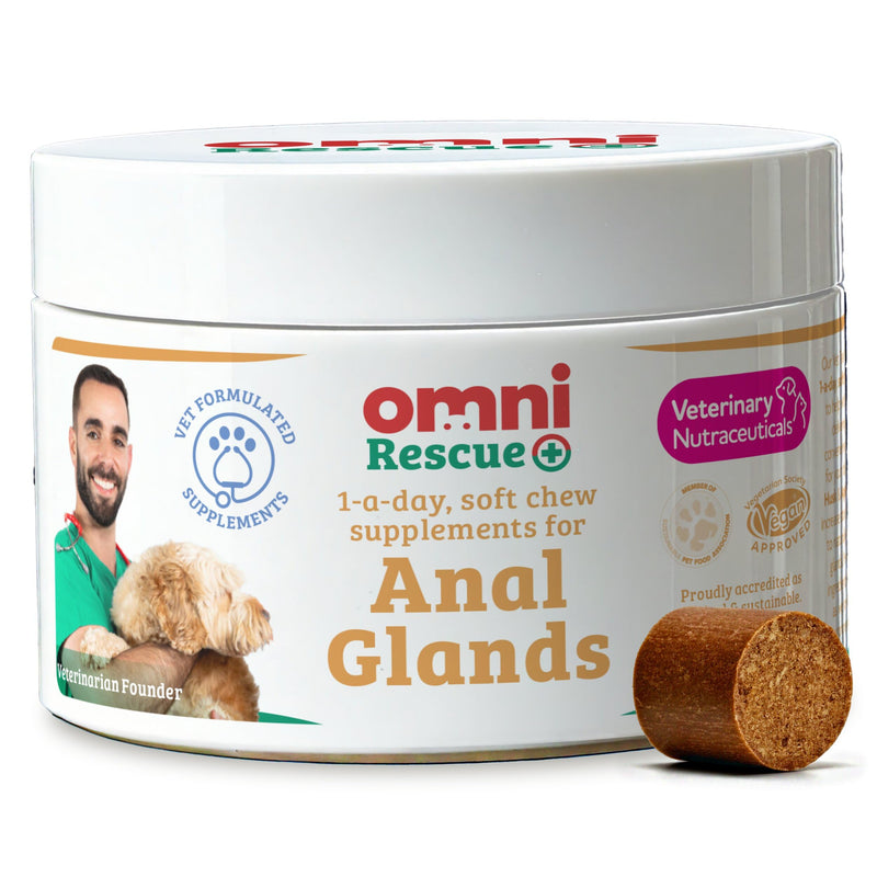 Omni Anal Glands Dog Supplements - Dragons’ Den Winners, One-a-Day Pro Fibre for Dogs Supplement with Apple Pectin, Dog Treat for Full Odorous Glands, Pumpkin for Dogs, 30 Servings, Medium 15-30Kg Pack of 1 Medium Dog (15-30kg)