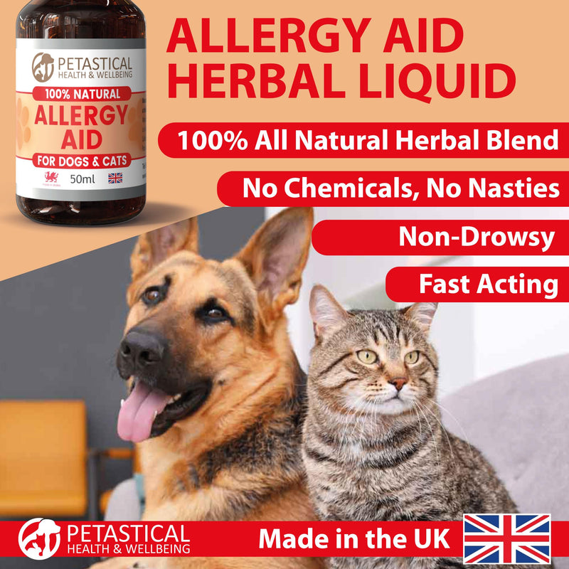 Allergy and Itch Immunity, Natural Liquid Supplement Drops for Dogs Cats, Skin, Eyes, Ears, Paws, Licking, No Nasty Chemicals, Made in UK (50ml) 50ml