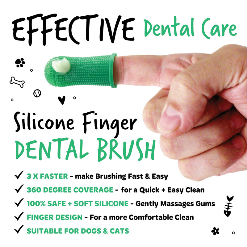 Bugalugs Dog and Cat Toothbrush and Paste Kit - Teeth Cleaning and Breath Freshener 1 count (Pack of 1)