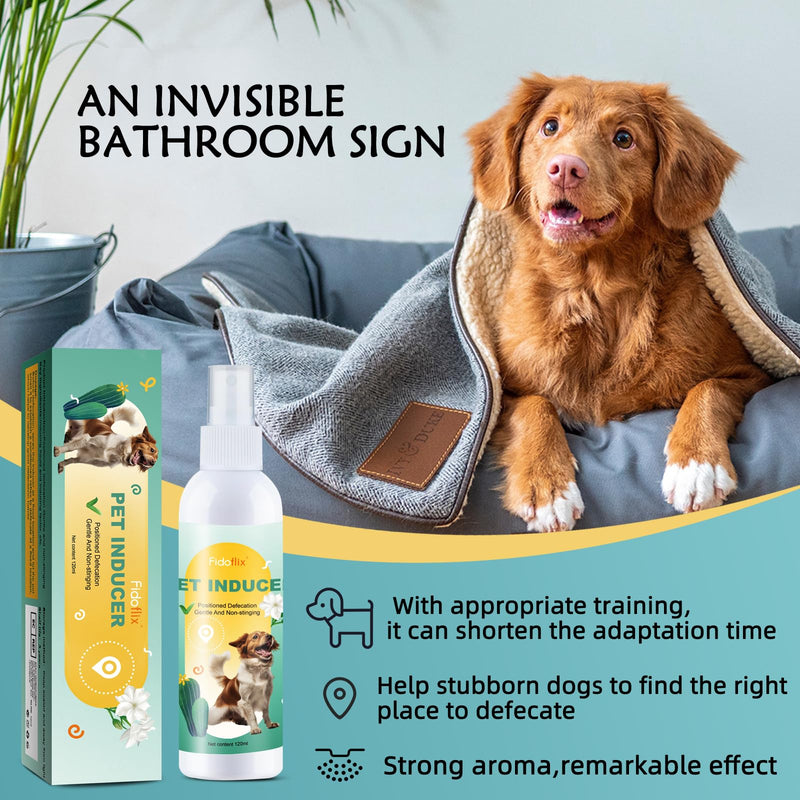 Dog Potty Training Spray,Potty Here Spray for Dogs for Indoors & Outdoor,Training Spray for Dogs to Pee in One Spot,Prevent Your Pet from Soiling The Carpet,120ML - BeesActive Australia
