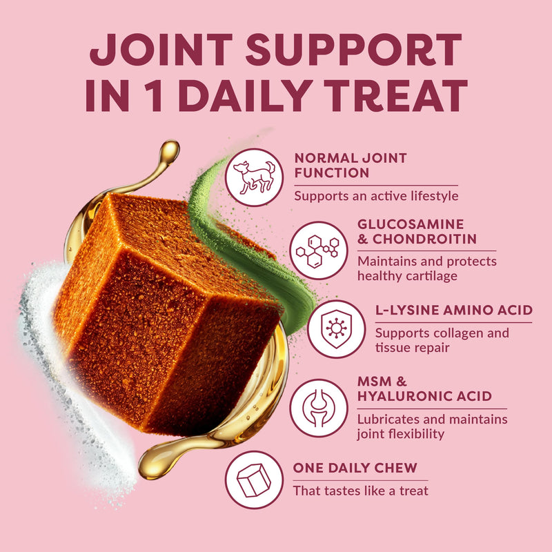 Omni Joint Supplements for Dogs - Dragons’ Den Winners, One-a-Day Joint & Mobility Chews with Glucosamine, Chondroitin & Omega 3, 30 Servings, Medium 15-30kg, Packaging May Vary Medium Dog (15-30kg) Pack of 1