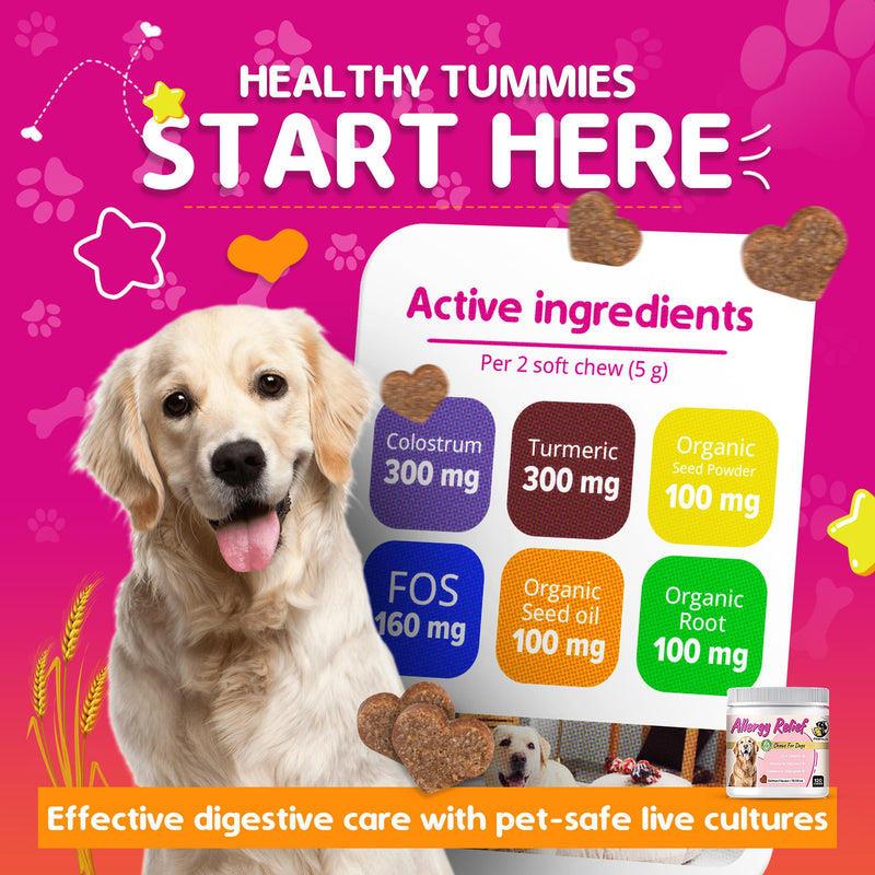 Allergy Relief Chews for Dogs – Itchy Skin, Hot Spots & Seasonal Allergy Support – Anti-Itch Supplement with Omega-3, Quercetin & Probiotics – Salmon Flavor – 120 Soft Chews