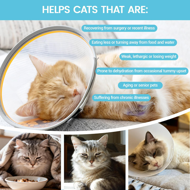 Recovery & Energy Support for Cats | Cat Appetite Stimulant & Hydration Supplement, Cat Electrolytes and Weight Gainer for Sick, Senior, Post-Surgery | Boosts Eating, Drinking&Strength in Weak Felines